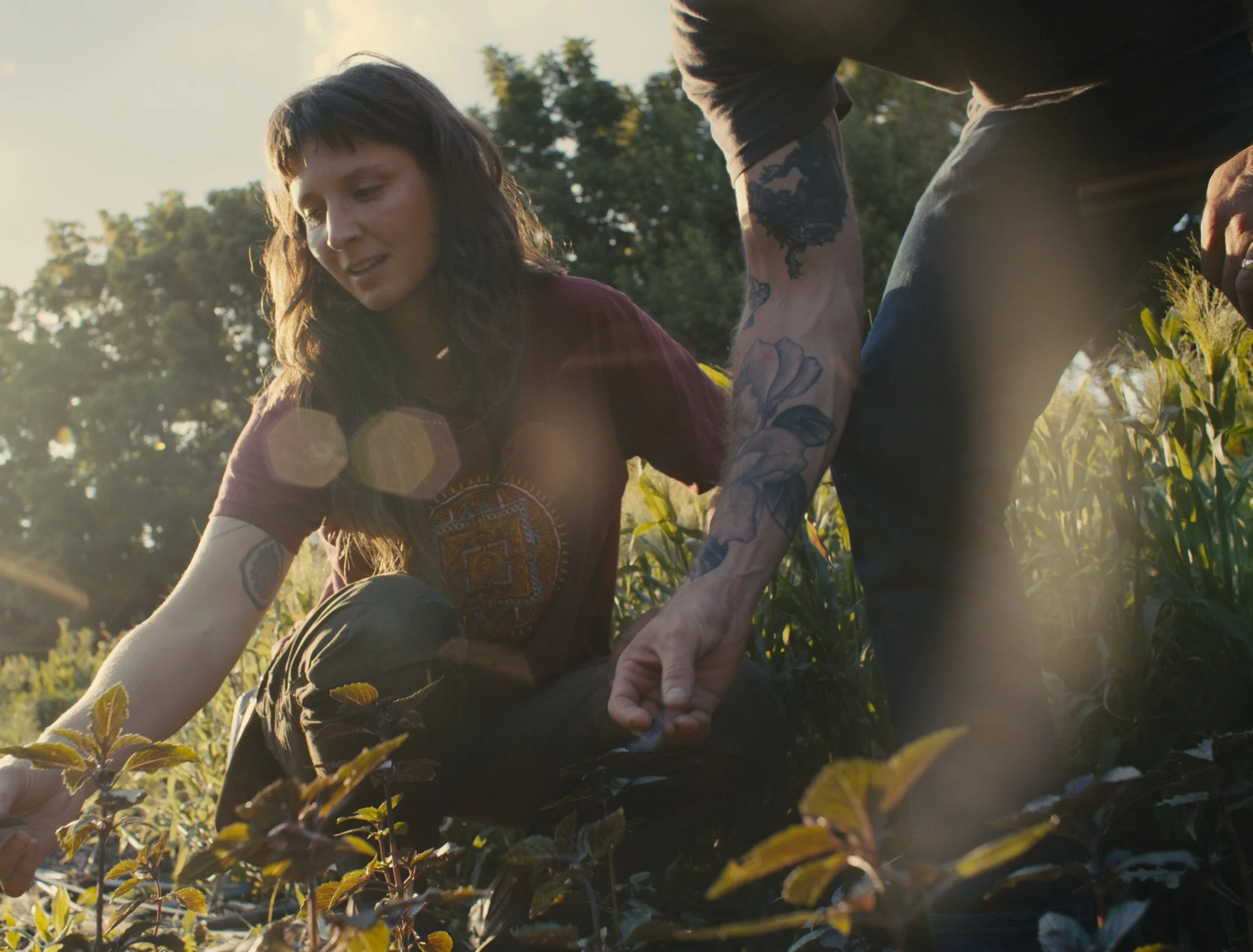 LittleBendFlowerFarm01_2.18.1.jpg