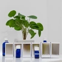 Bonistra eterična olja