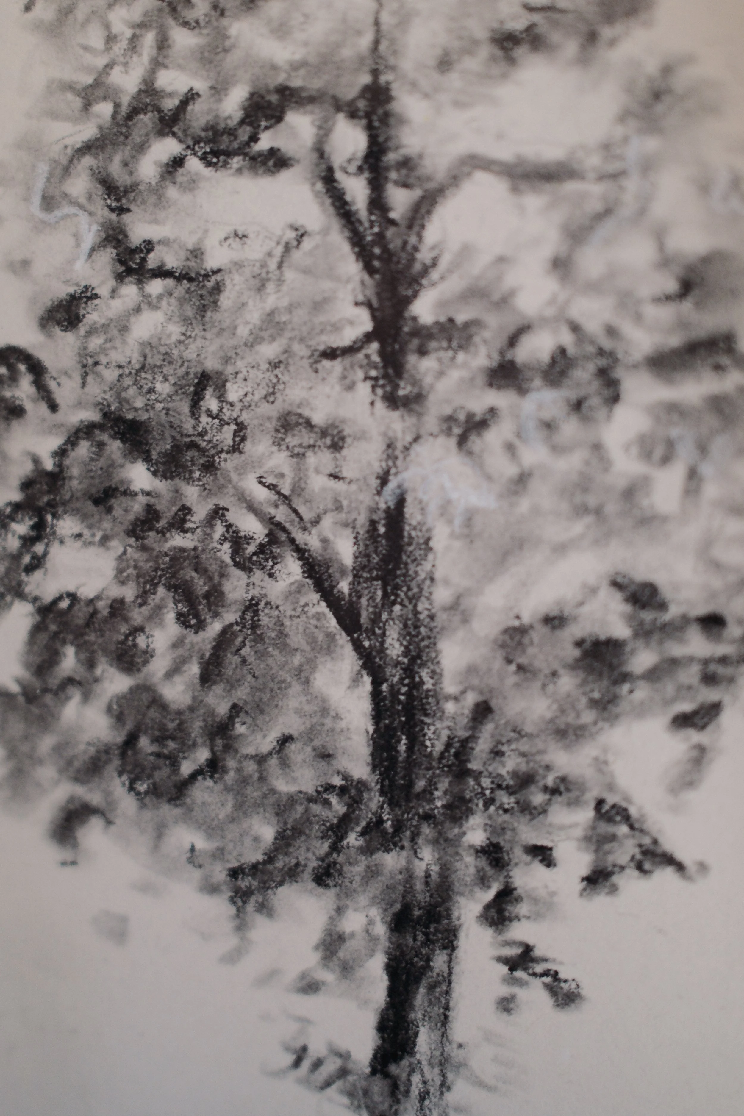 DSCF5405.jpg