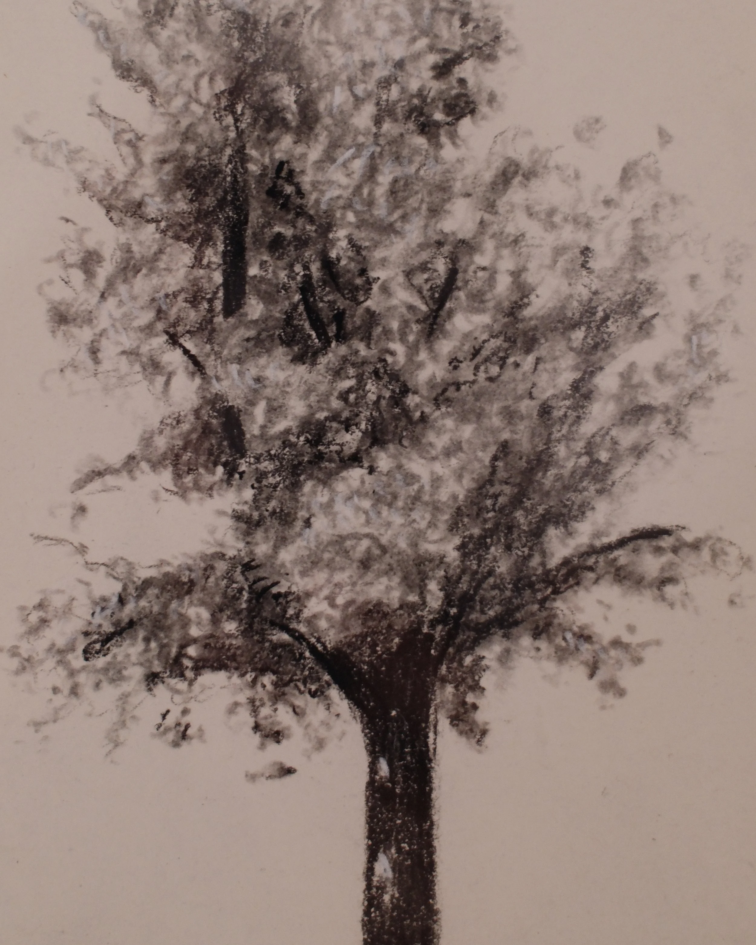DSCF5331.jpg