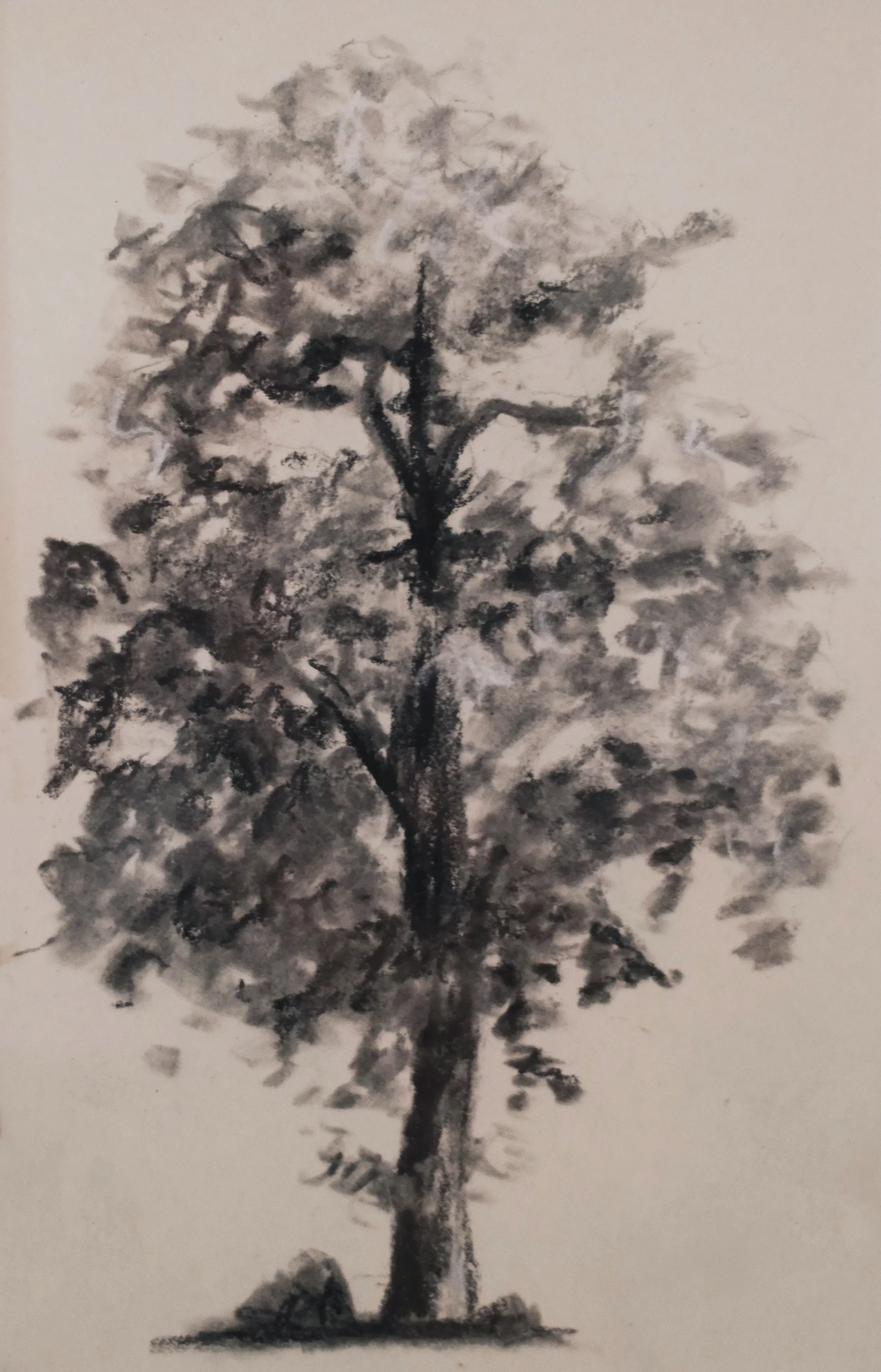 DSCF5296-2.jpg