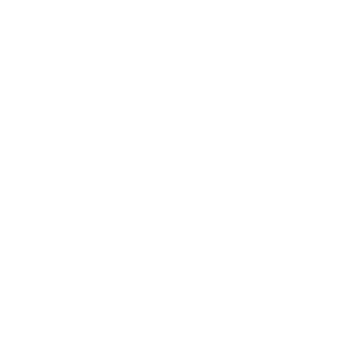 Dolmetschwerk