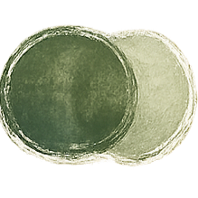 Pink circle with a black outline on a black background.