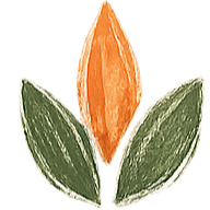 Simplified diagram of a flower with pink petals outlined in red and black lines, set against a black background.