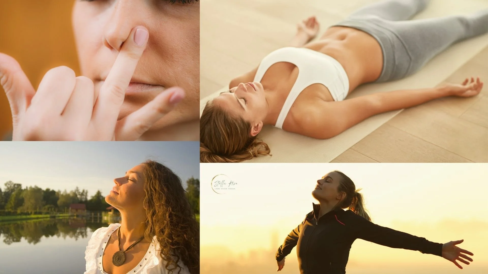 BreathWork in der Therapie – Wie Therapeut*innen und Coaches Atemarbeit nutzen können, um tiefe emotionale Blockaden zu lösen