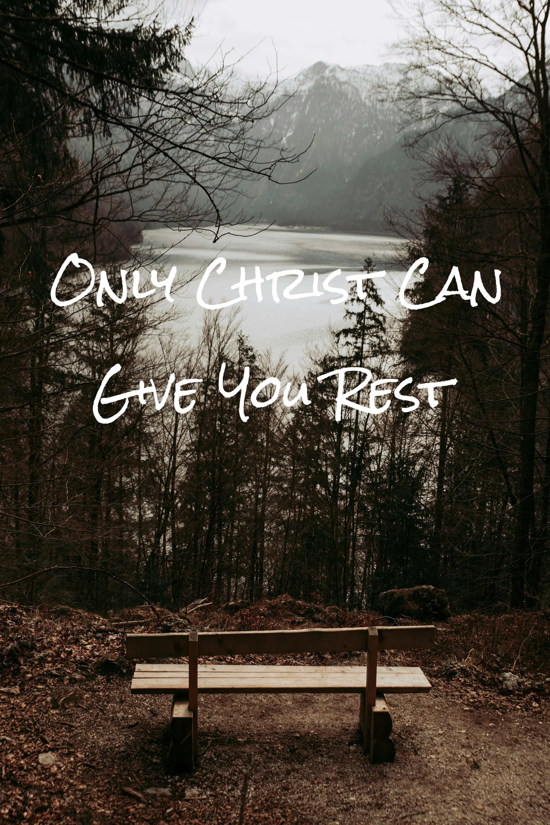 Only Christ Can Give You Rest 