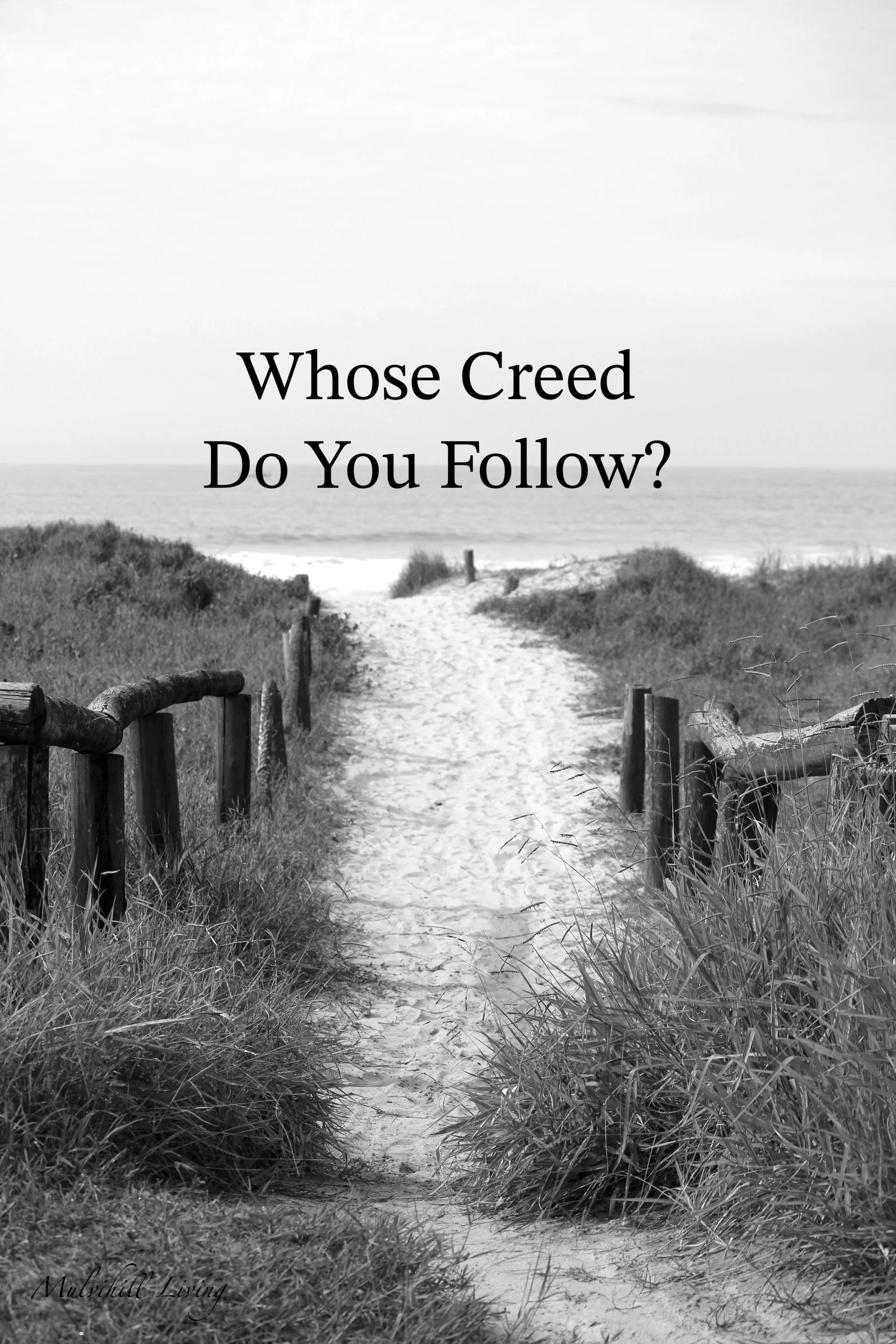 Whose Creed Are You Following? 