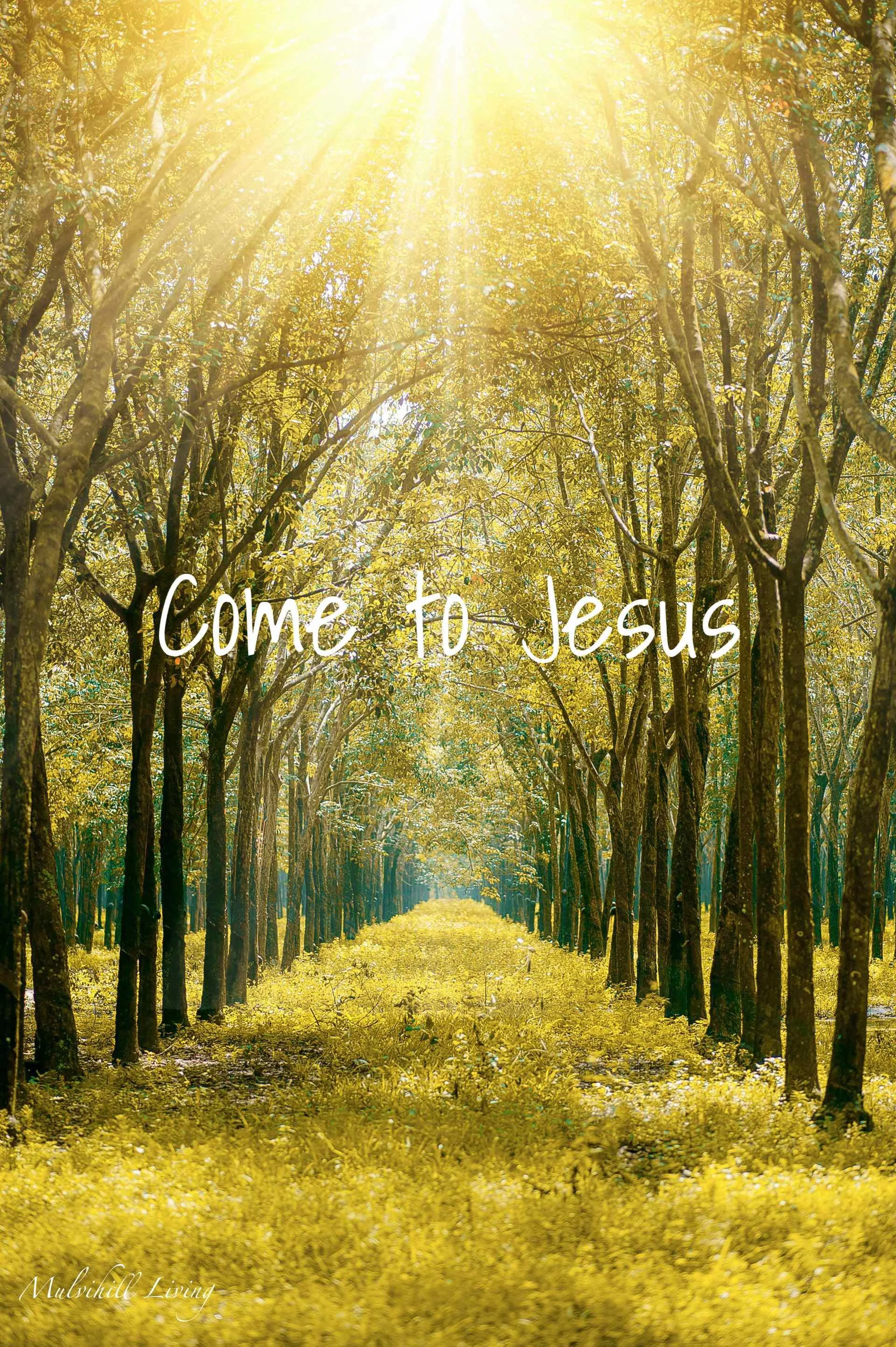 Come to Jesus