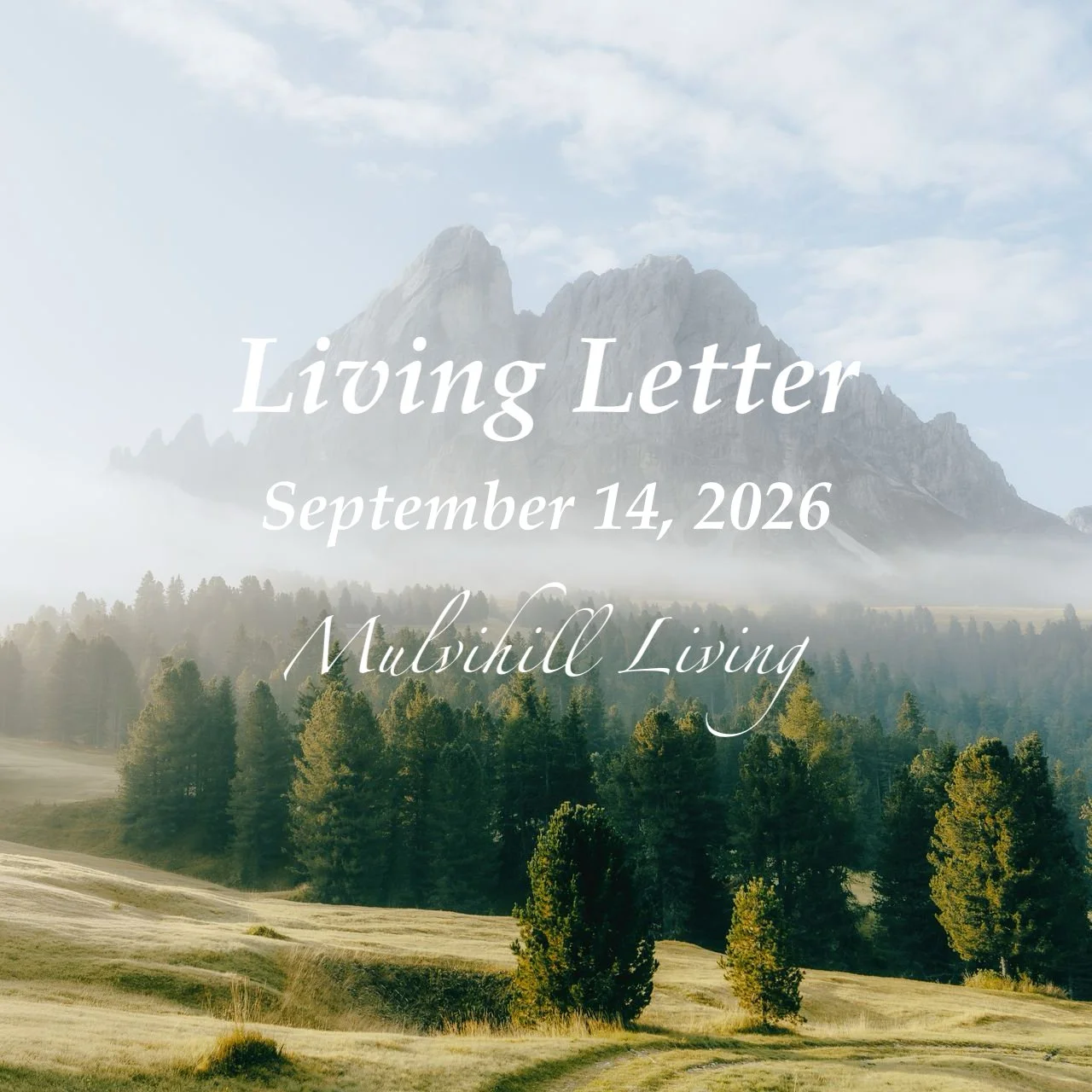 phonto 3.jpg