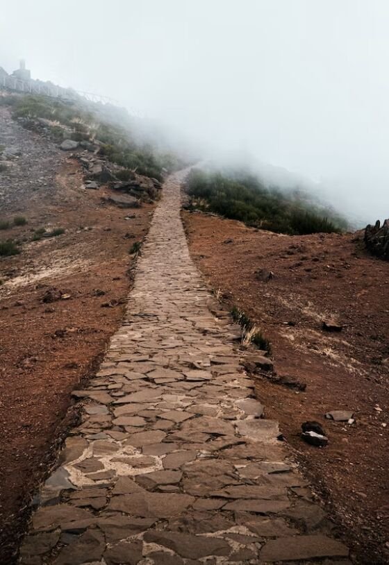 Rising Above: Choosing to Walk Away and Do Better