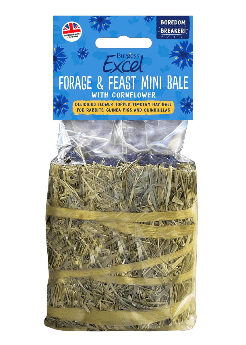 Burgess Excel Forage & Feast Hay Mini Bale with Cornflower