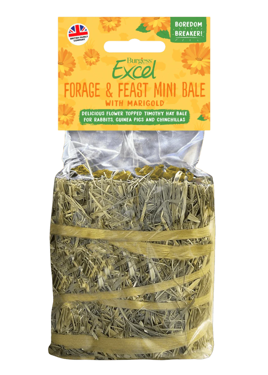 Burgess Excel Forage and Feast Hay Mini Bale with Marigold
