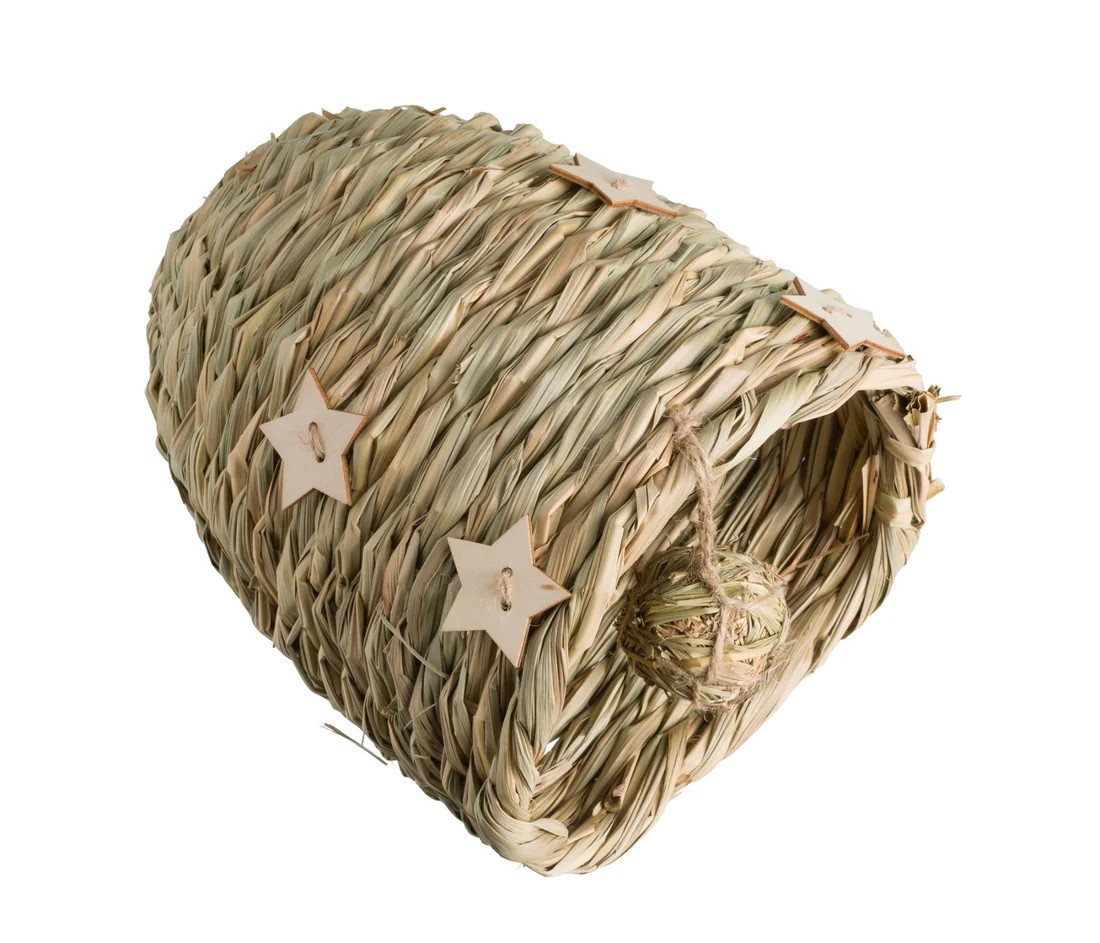a2xk1d8p.png