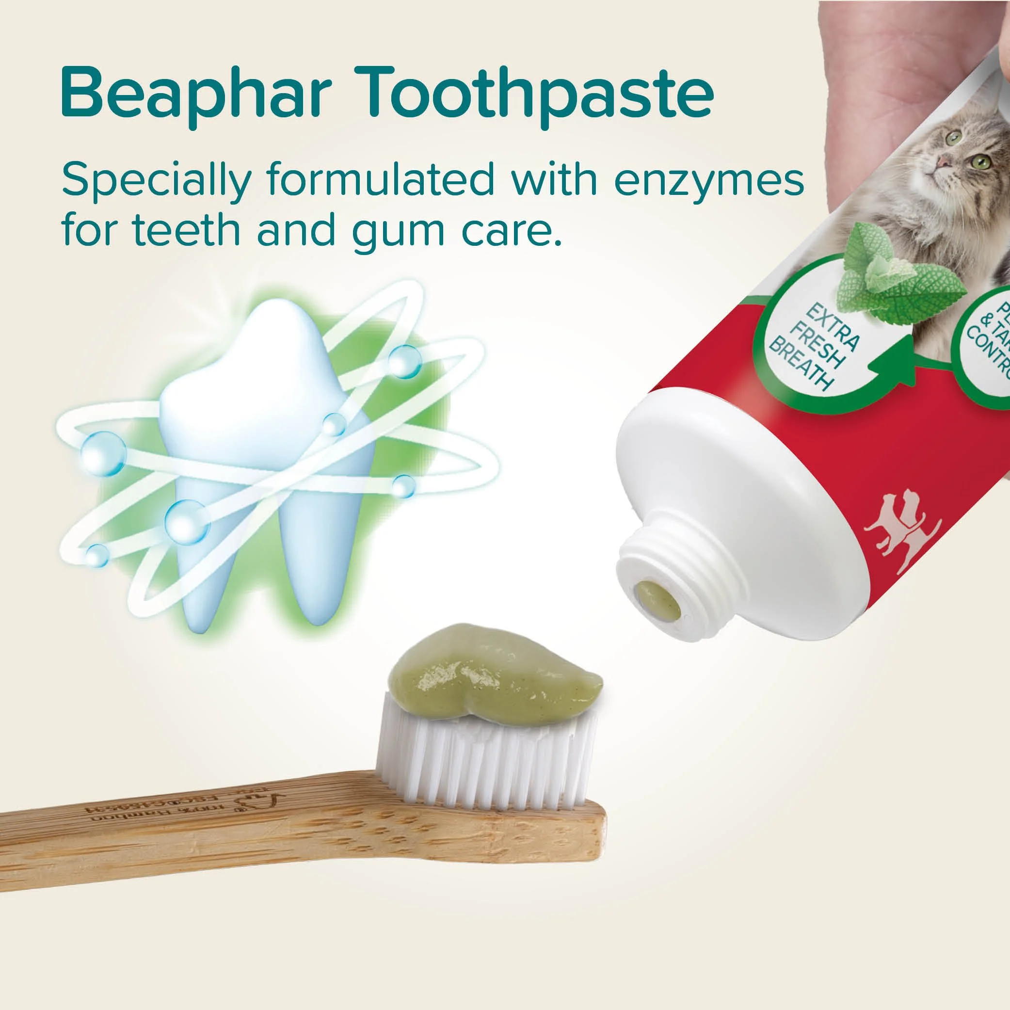 1000500_Ecommerce_Toothpaste_Mint-Parsley_EN_2025_03.jpg