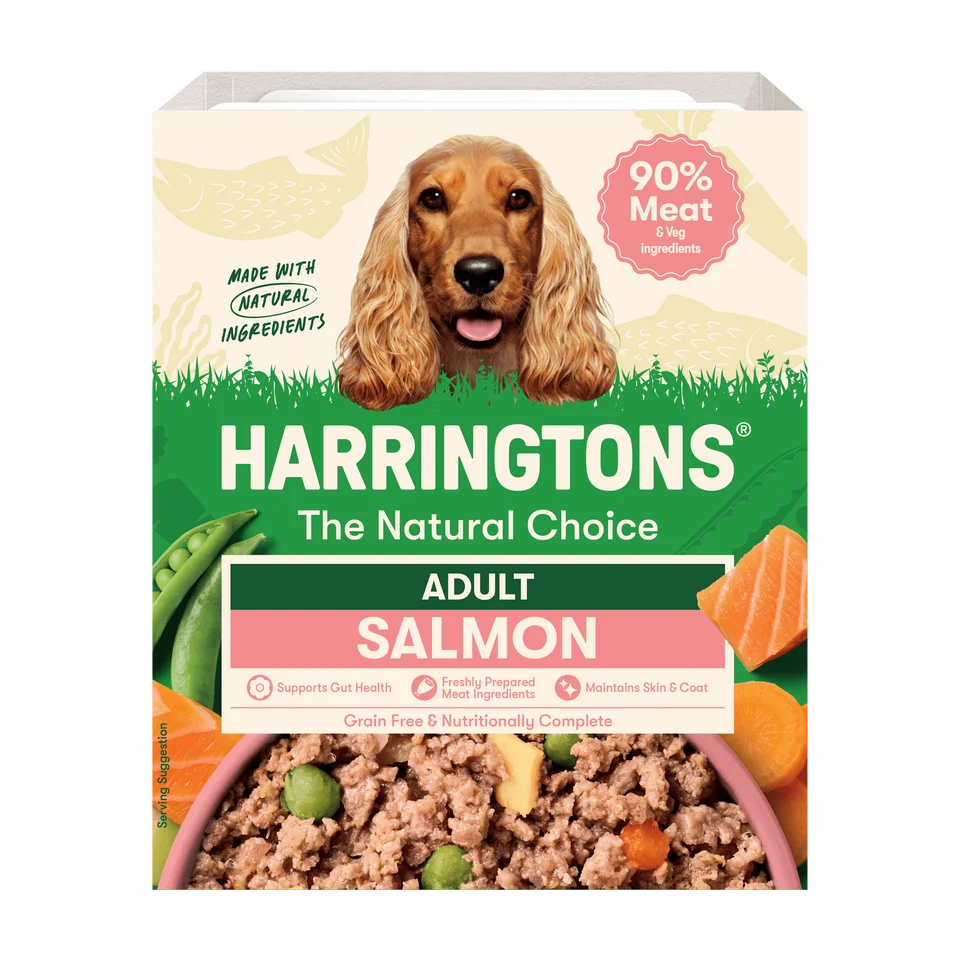 Salmon with Potato & Vegetables Grain Free Wet Dog Food 400g