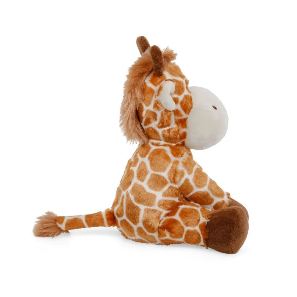 giraffe 4.jpg