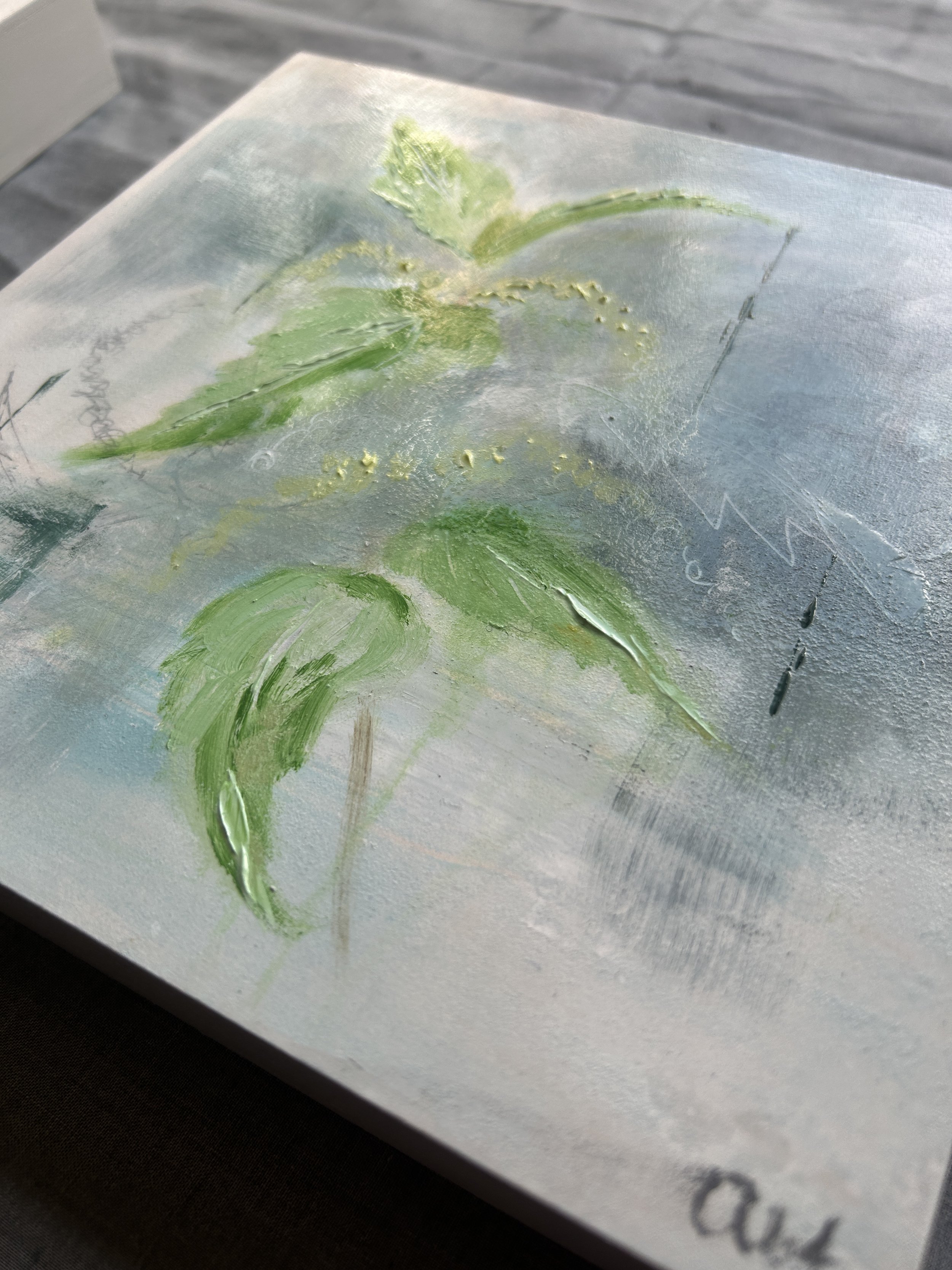 The butterflies' saviour