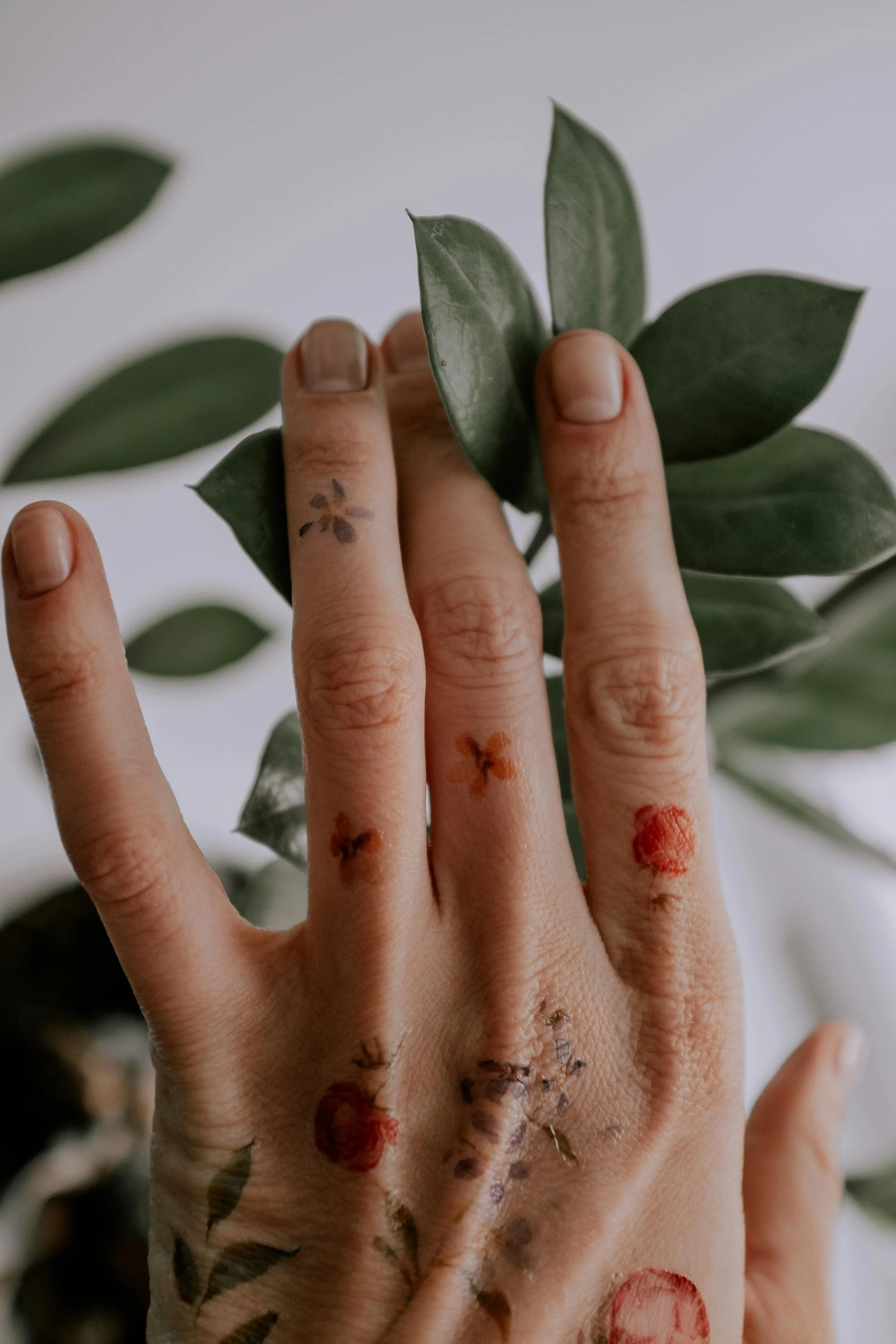 A white hand caressing a branch tenderly, symbolizing the ease of billing through Queerly Healing Therapies