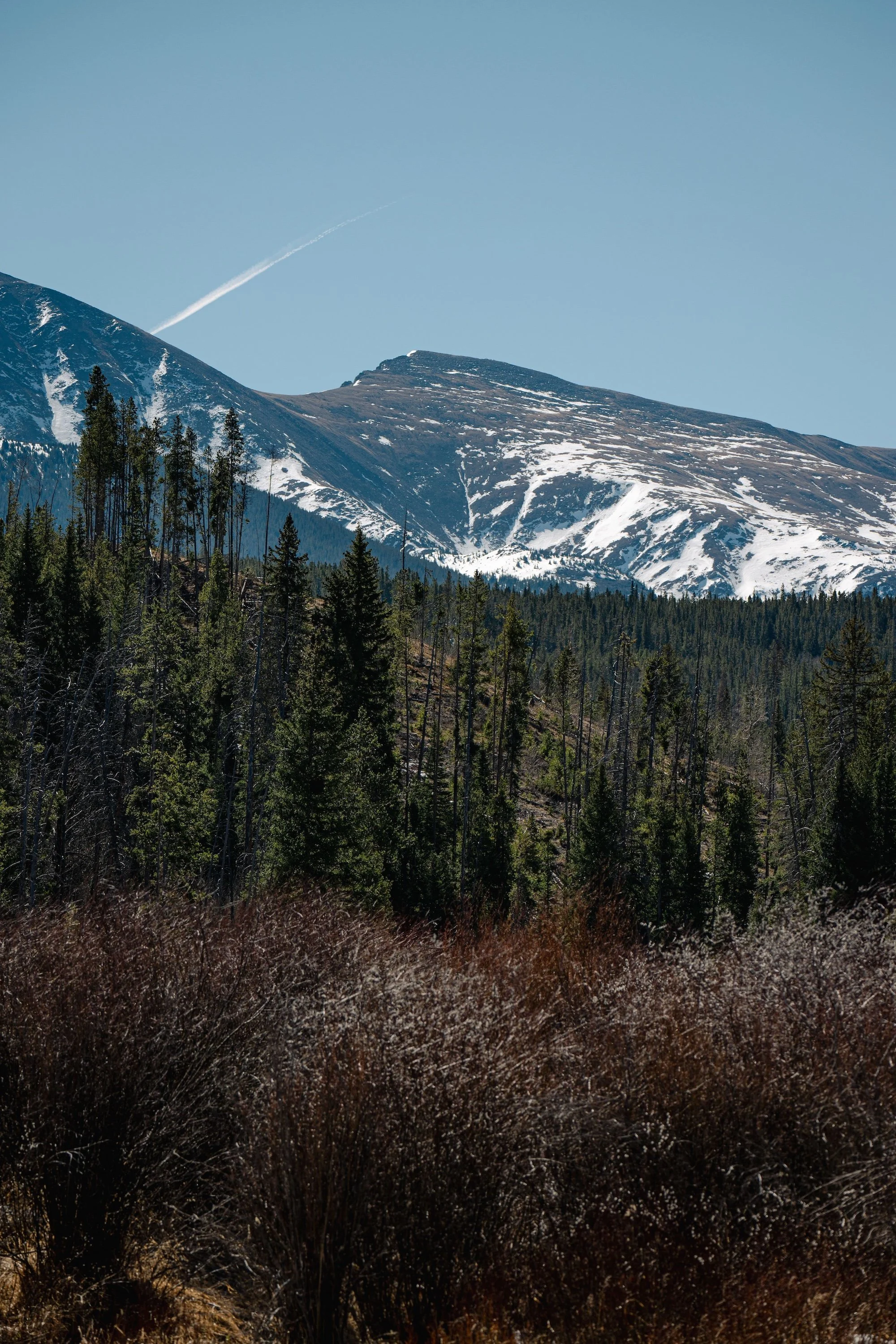 Colorado mountains with snow patches, a clear blue sky, and trees in the foreground.