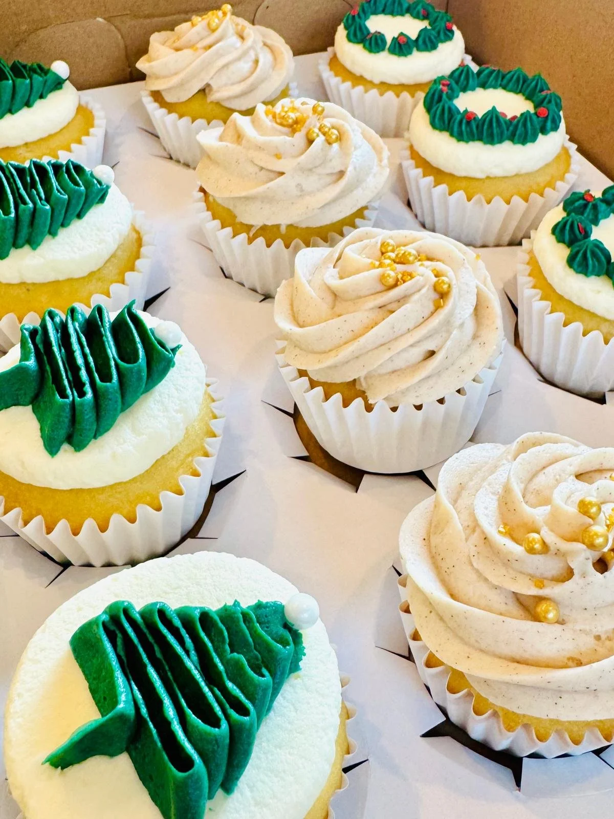 WhatsApp Image 2026-01-04 at 15.03.00.jpeg