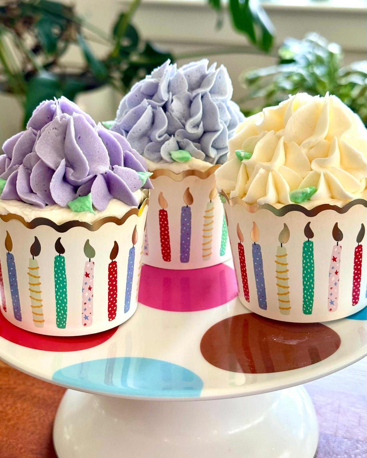 WhatsApp Image 2026-01-04 at 15.05.22.jpeg