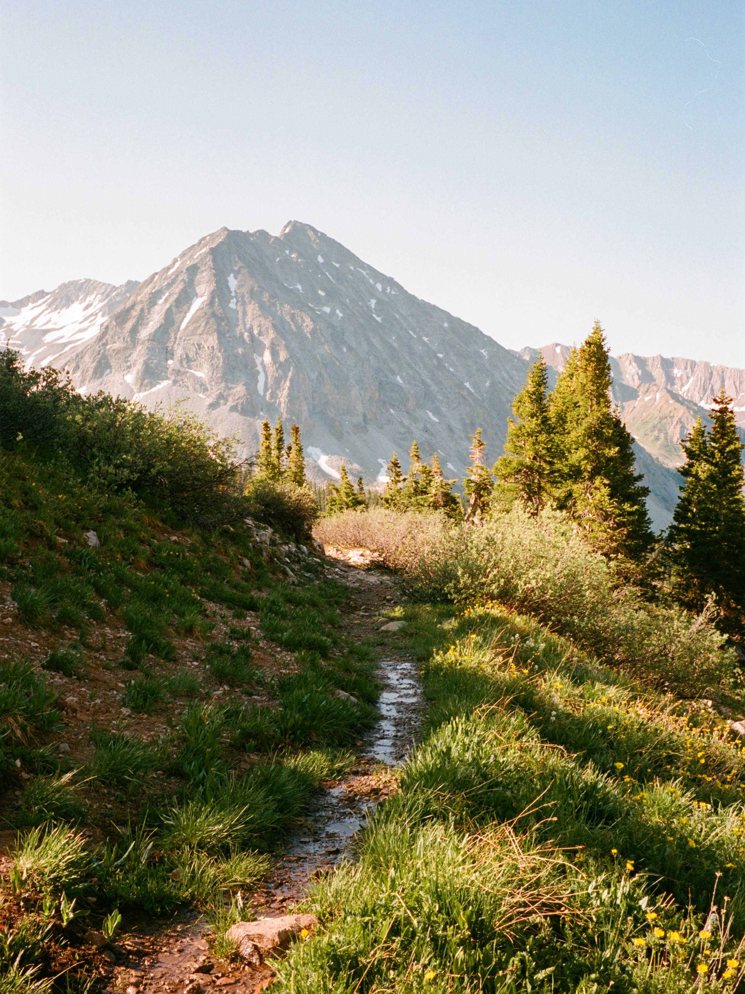 IMG_9103 copy.jpg