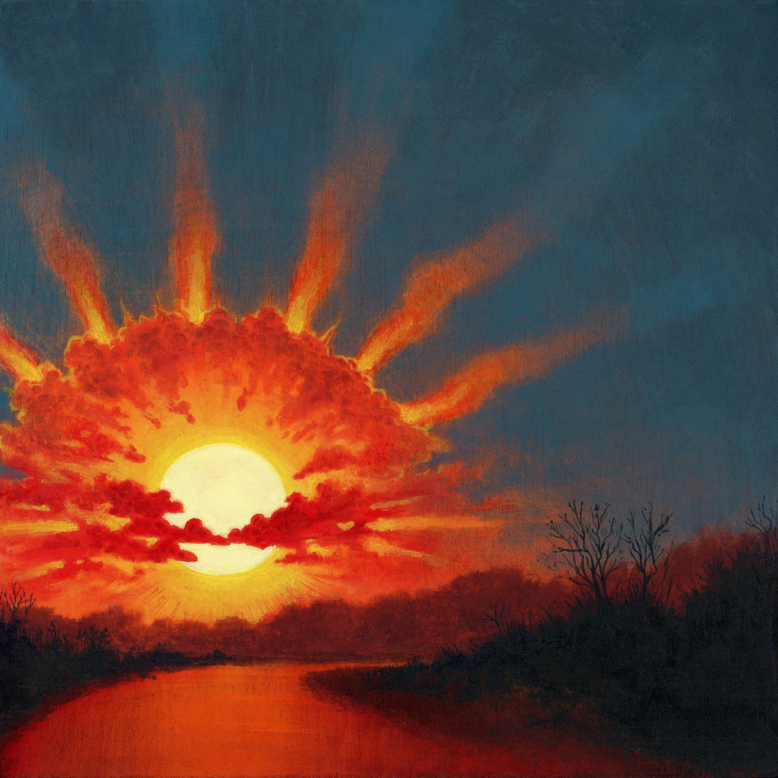 Sun Bloom
