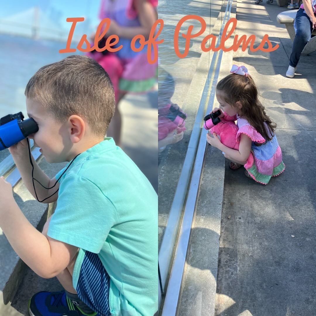 What can you do with your littles in Charleston and Isle of Palms&hellip;?

We took a trip to coastal South Carolina last month and may have found our new favorite spot! 

From the aquarium to restaurants to relaxing on the wide beaches, we couldn&rs
