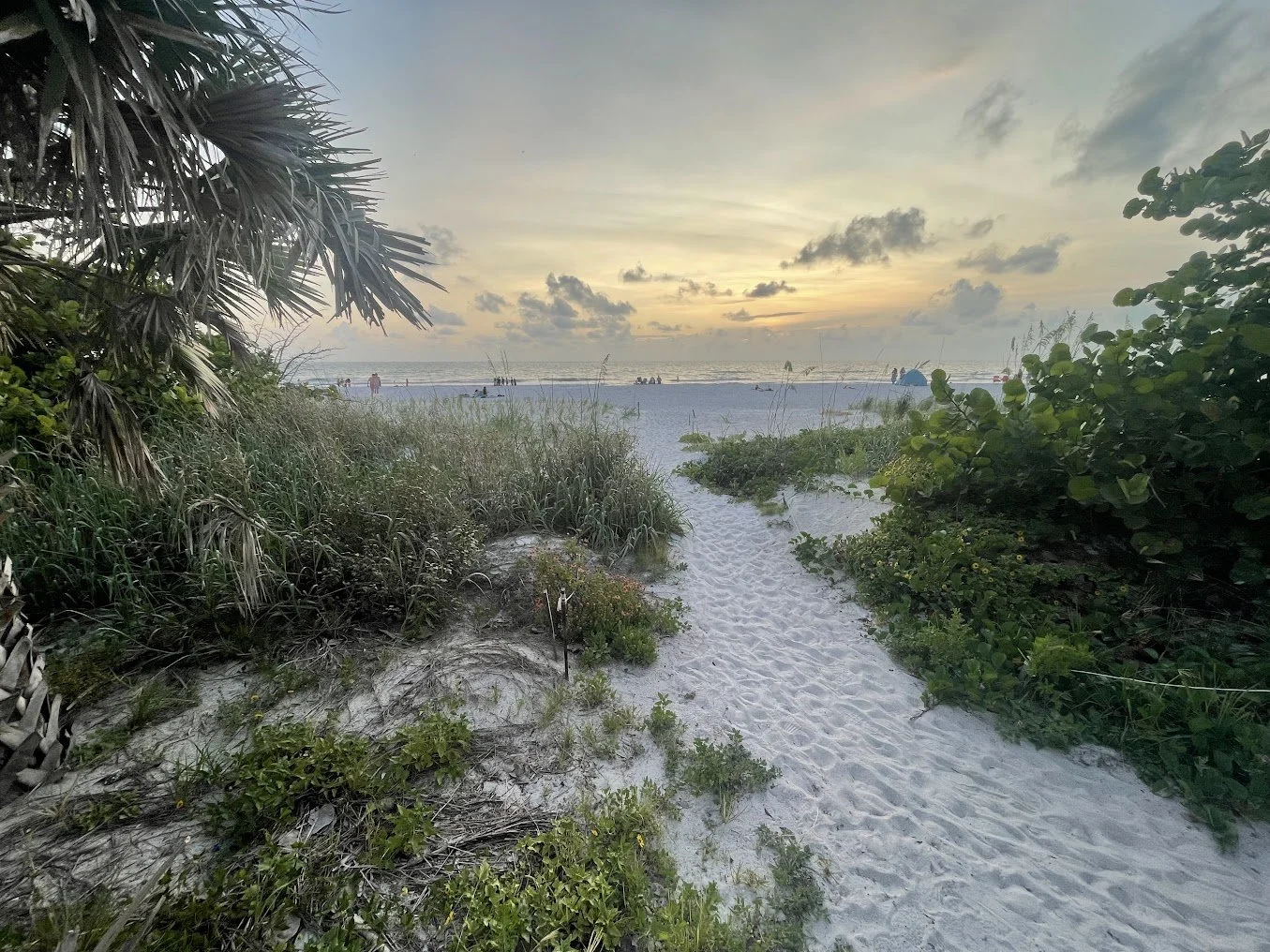 The Post-Vacation Paradox: Why Your Nervous System Thrives in the Sand (and How to Bring It Home)
