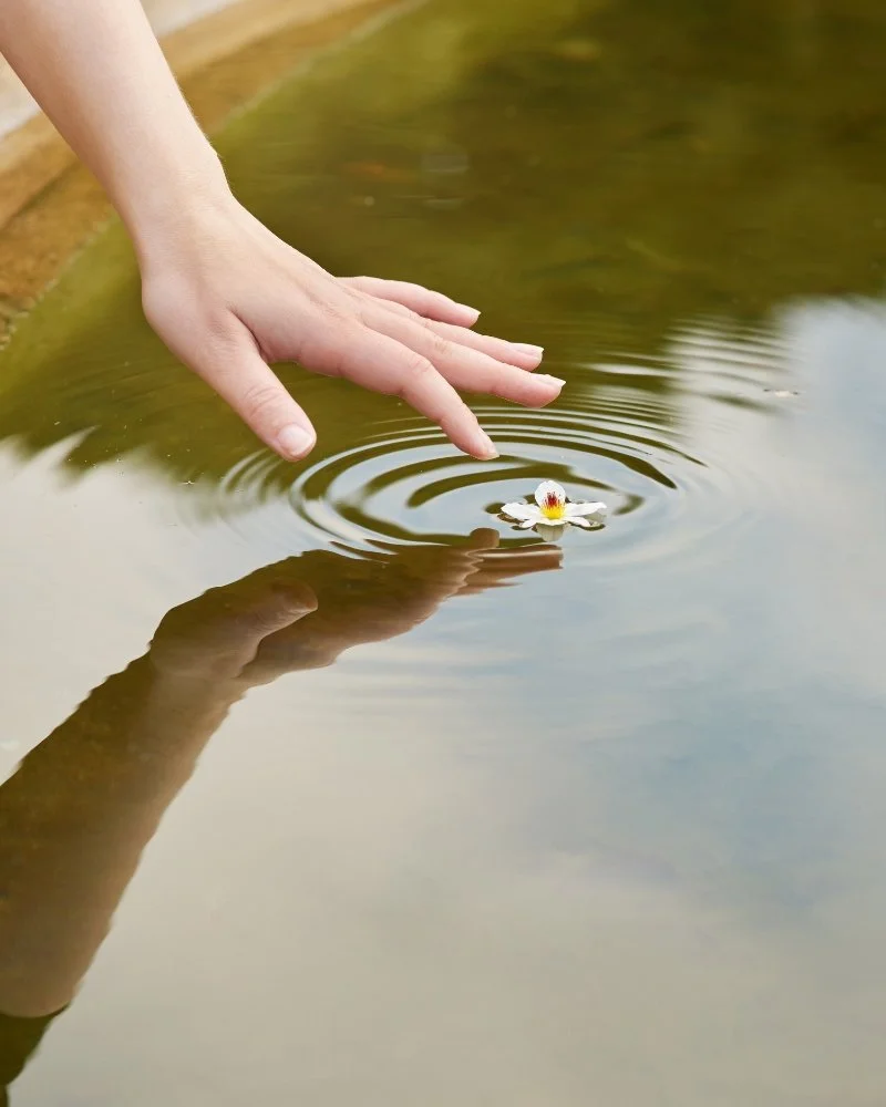 A person's hand gently reaching down to touch the surface of calm water, creating smooth concentric circular ripples around a small floating white flower, with a clear reflection visible on the water's surface.
