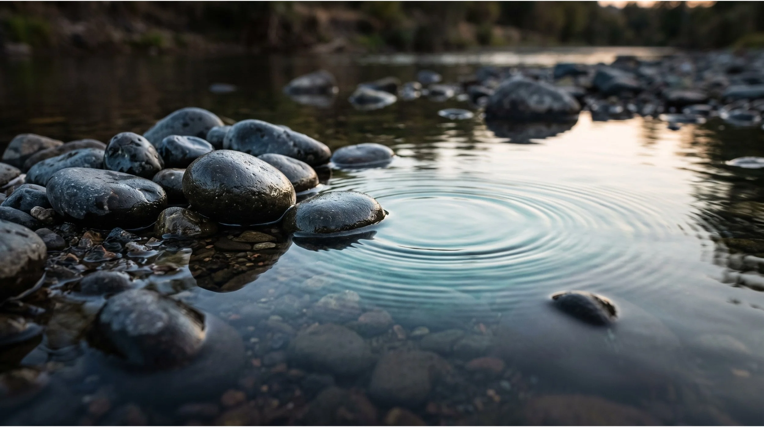 Smooth dark river stones clustered in shallow water with gentle concentric water ripples expanding across a calm surface reflecting twilight light.