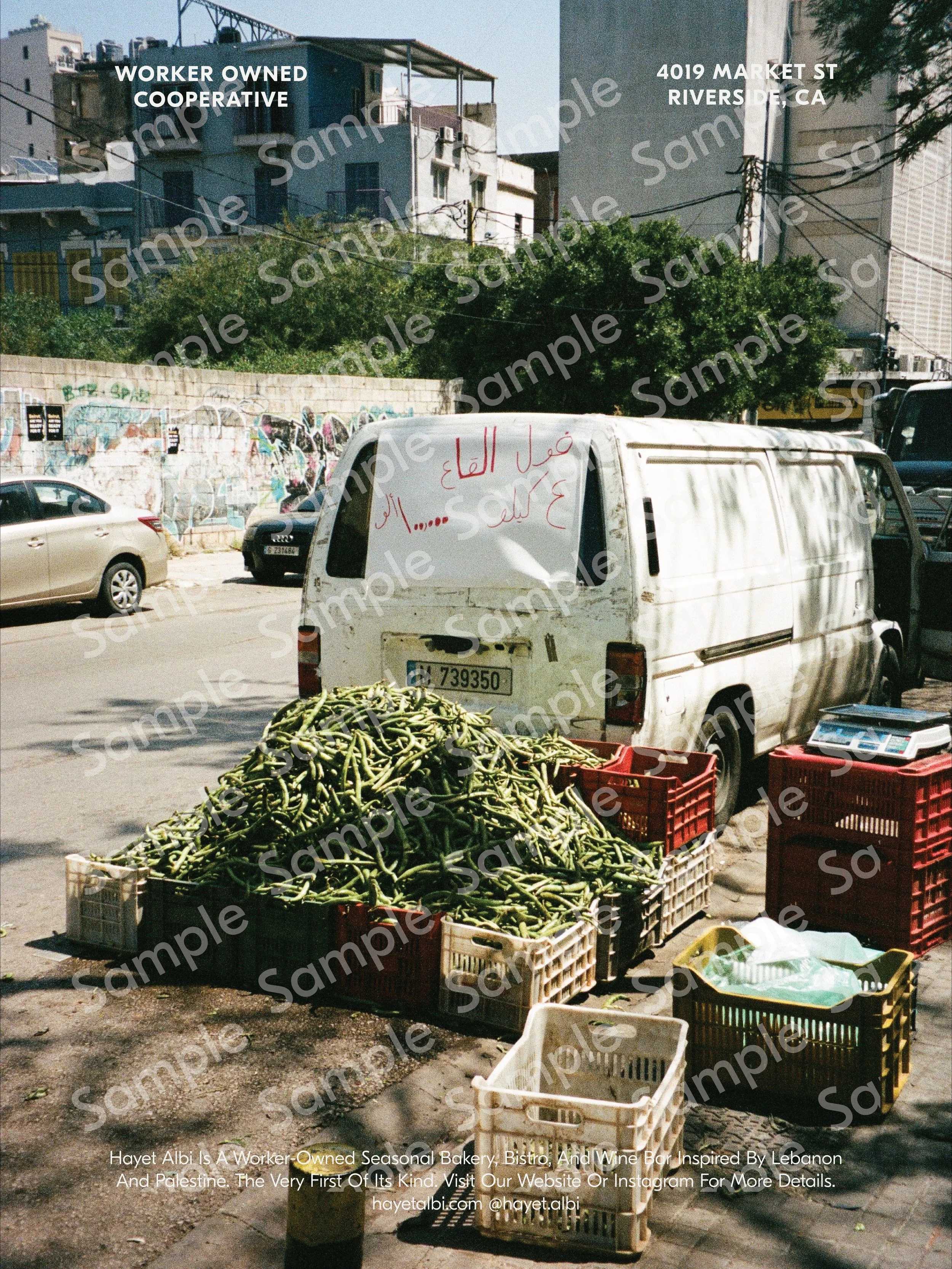 Watermarked Prints-04 2 copy.jpg