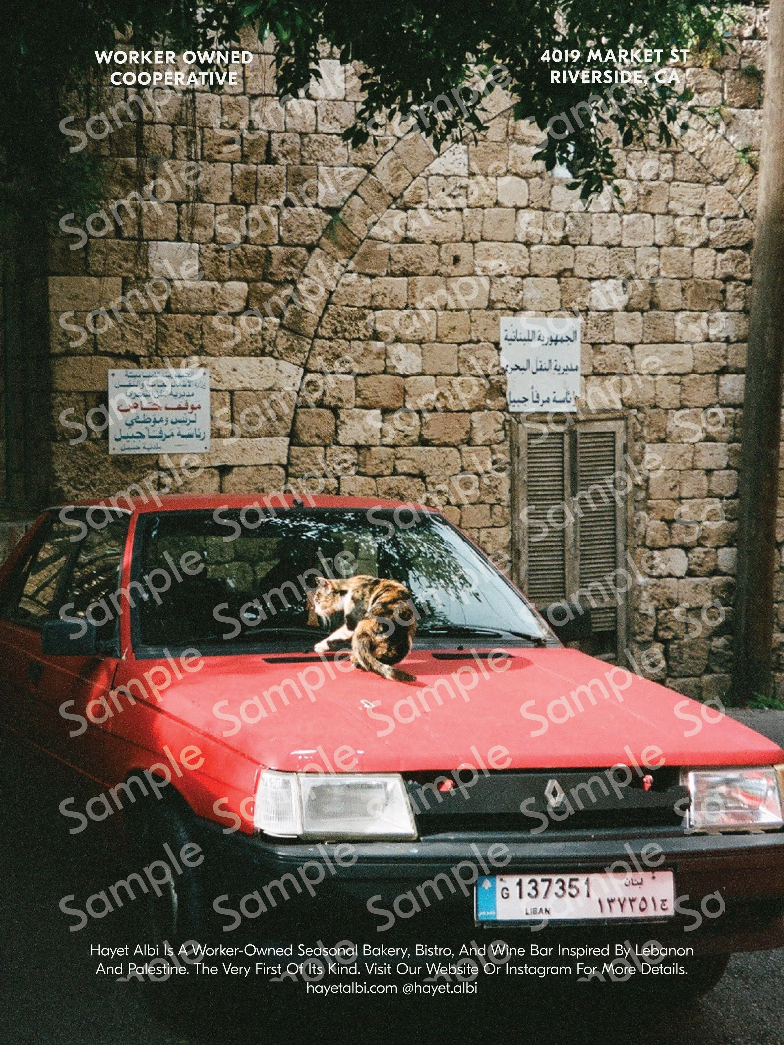 Watermarked Prints-05 copy.jpg