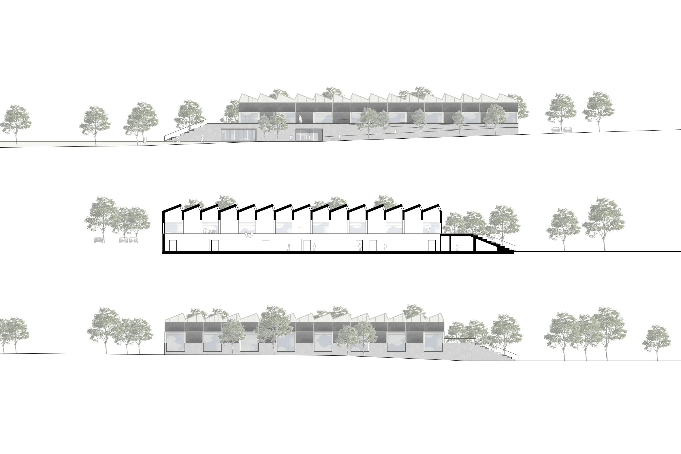 elevations / sections