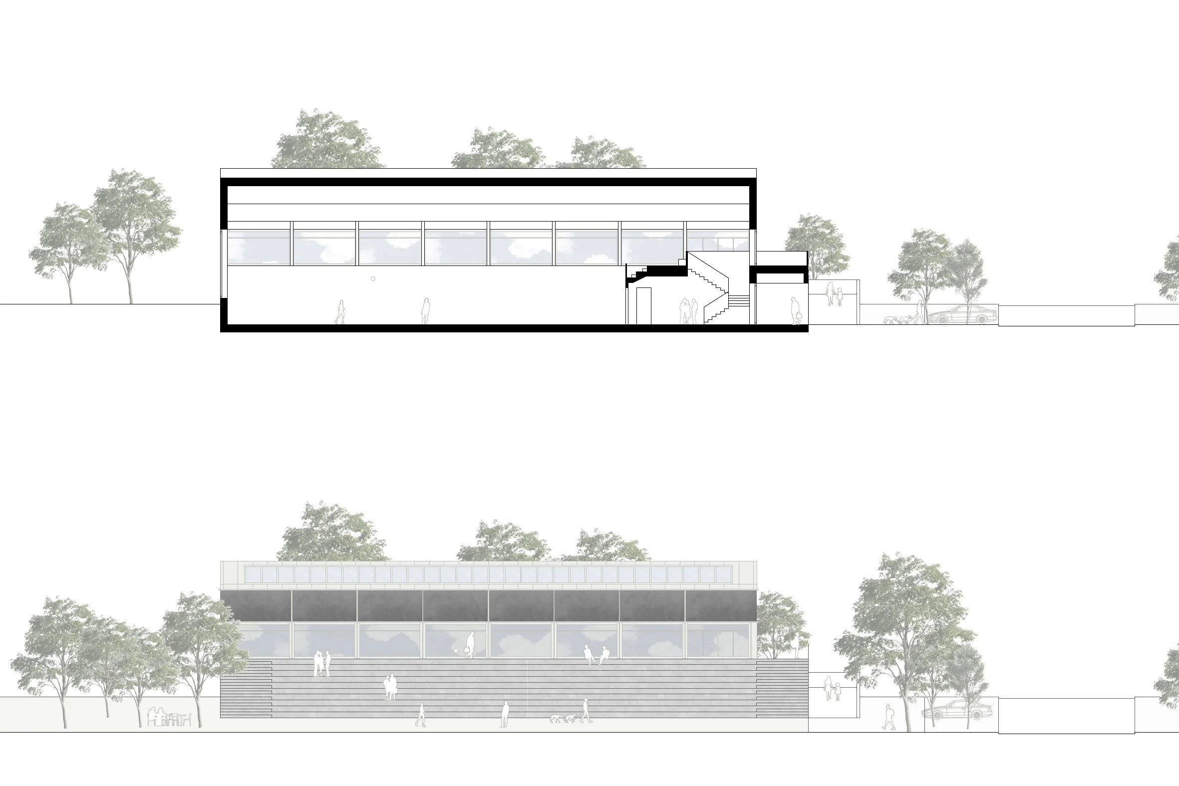 elevations / sections