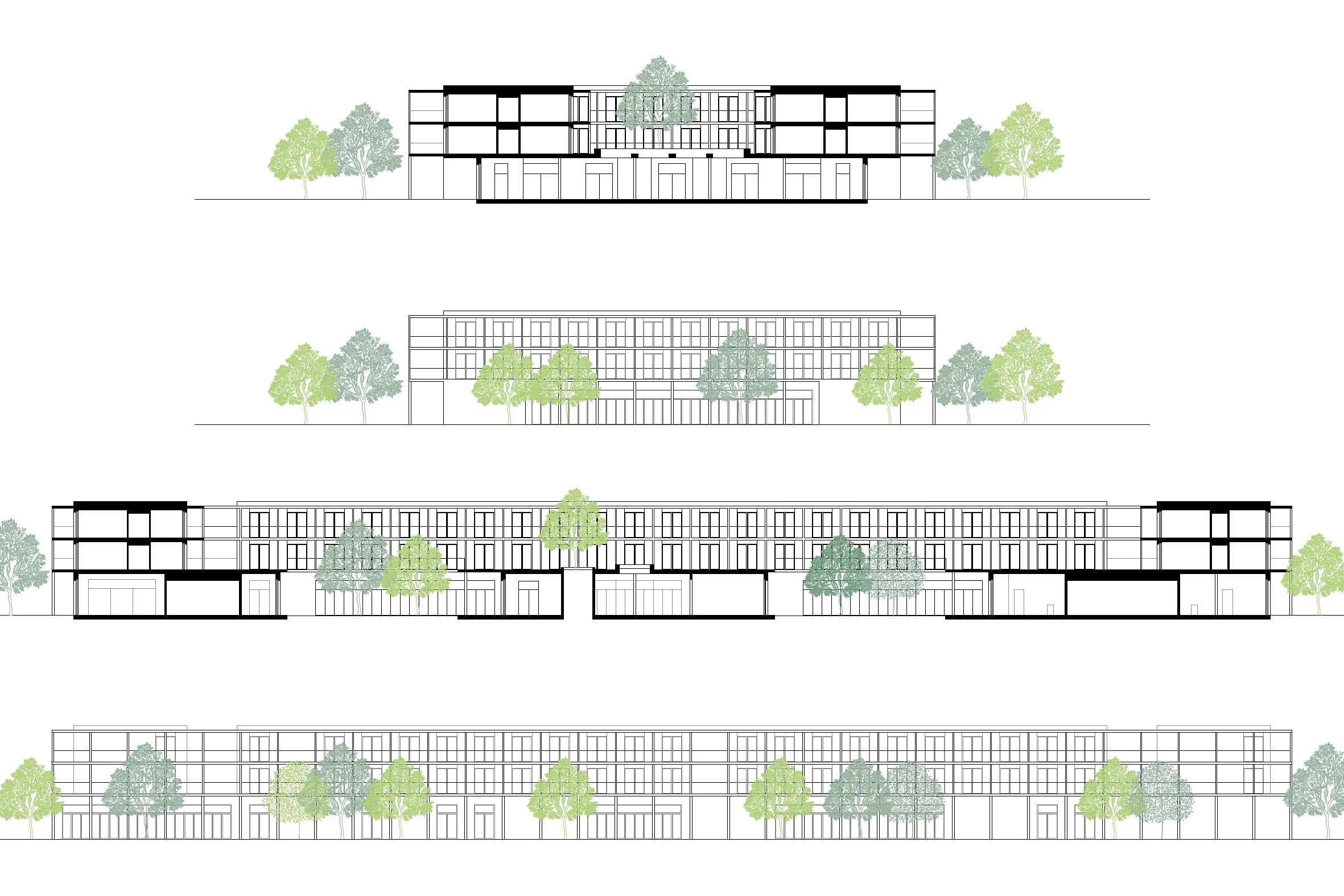 elevations / sections