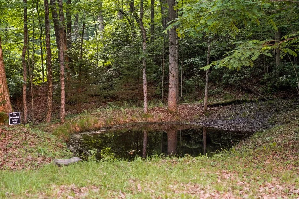 GateHouseGatAway97.jpg