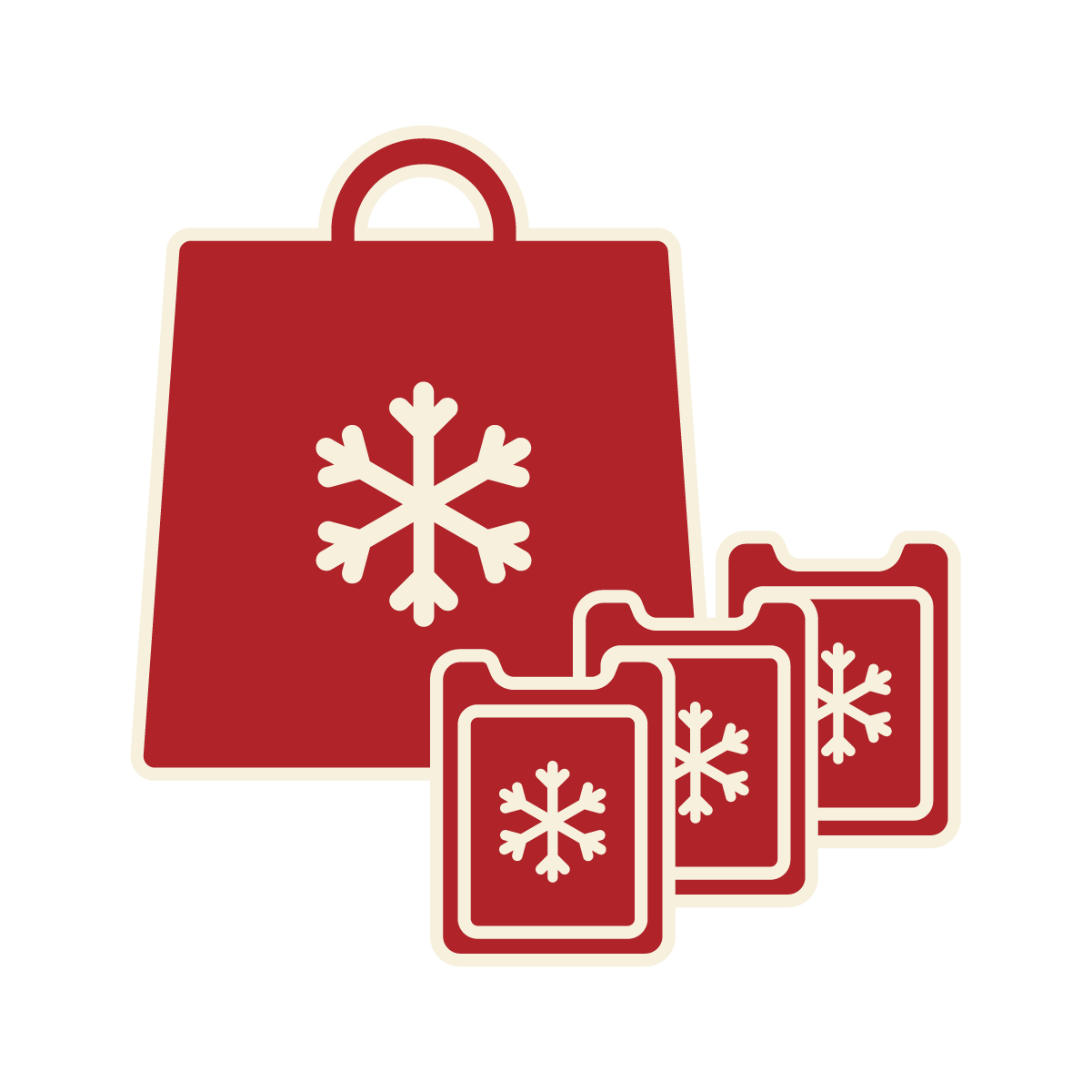 Large Reusable Cooler Bag & 3 Reusable Ice Packs (Large - Max 6 Boxes)