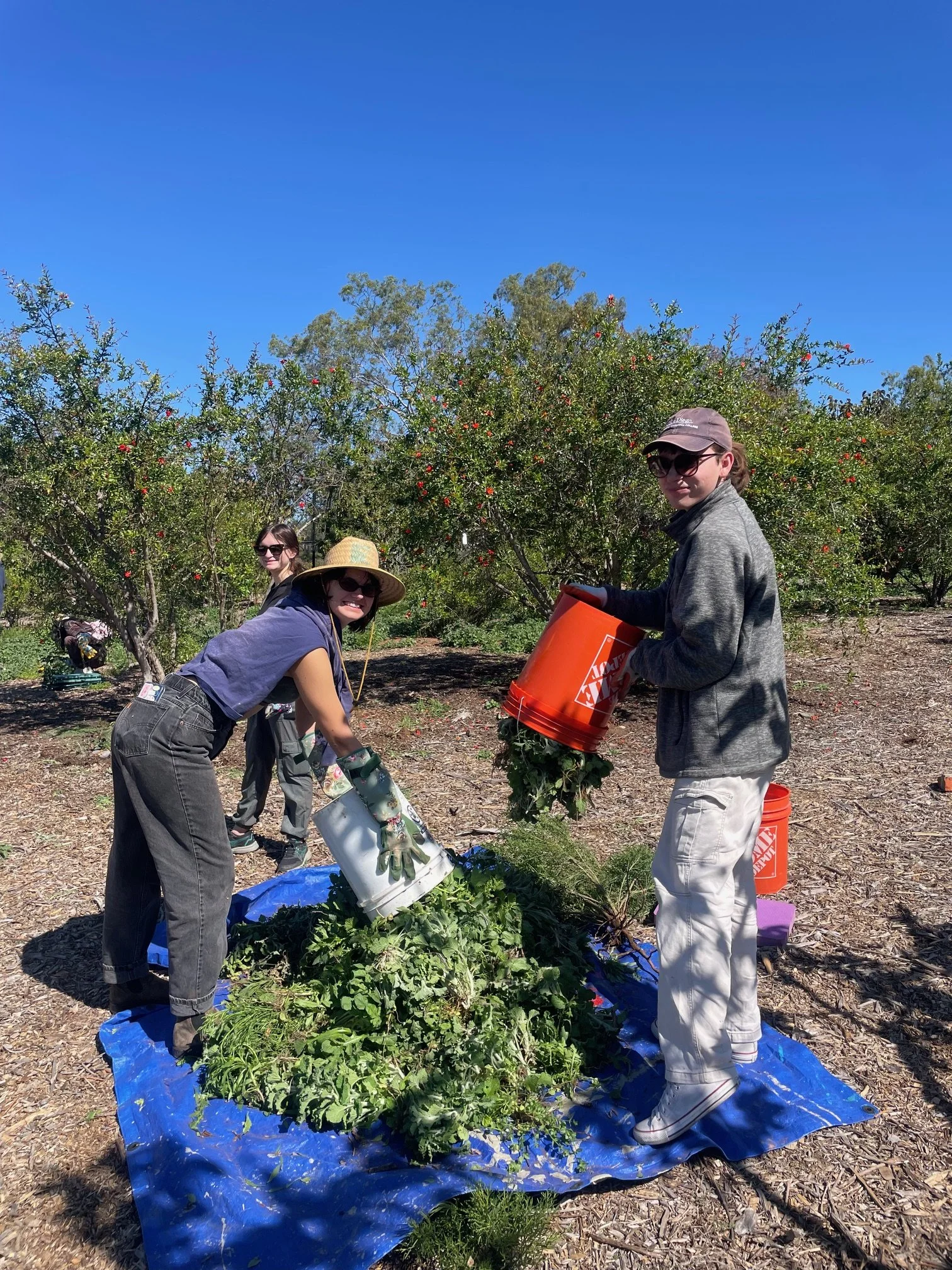EarthLab Day in the Garden (Copy)