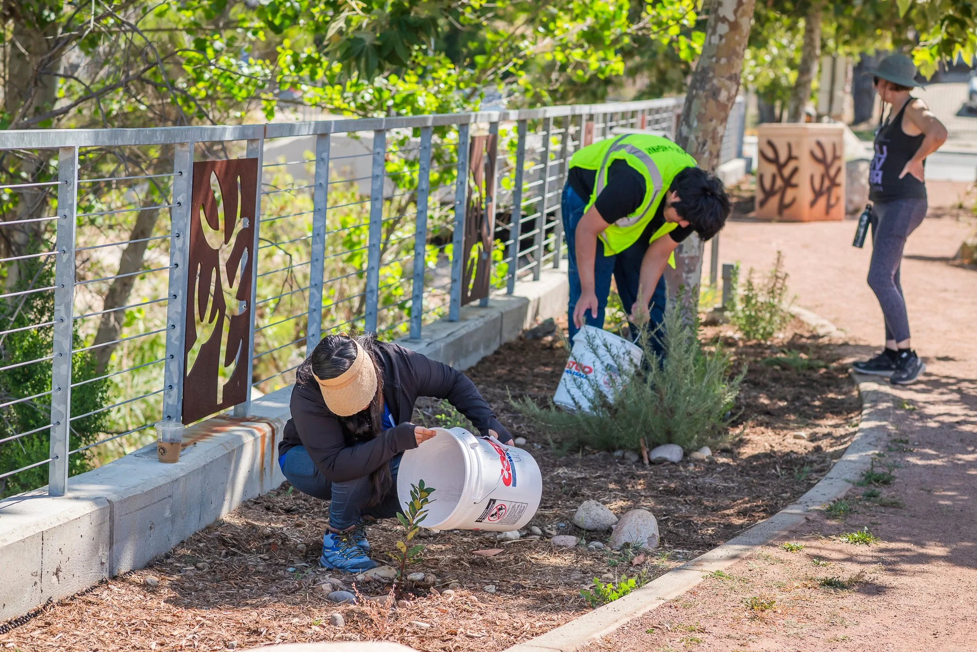 Stewardship Saturday at Chollas Creekside Park