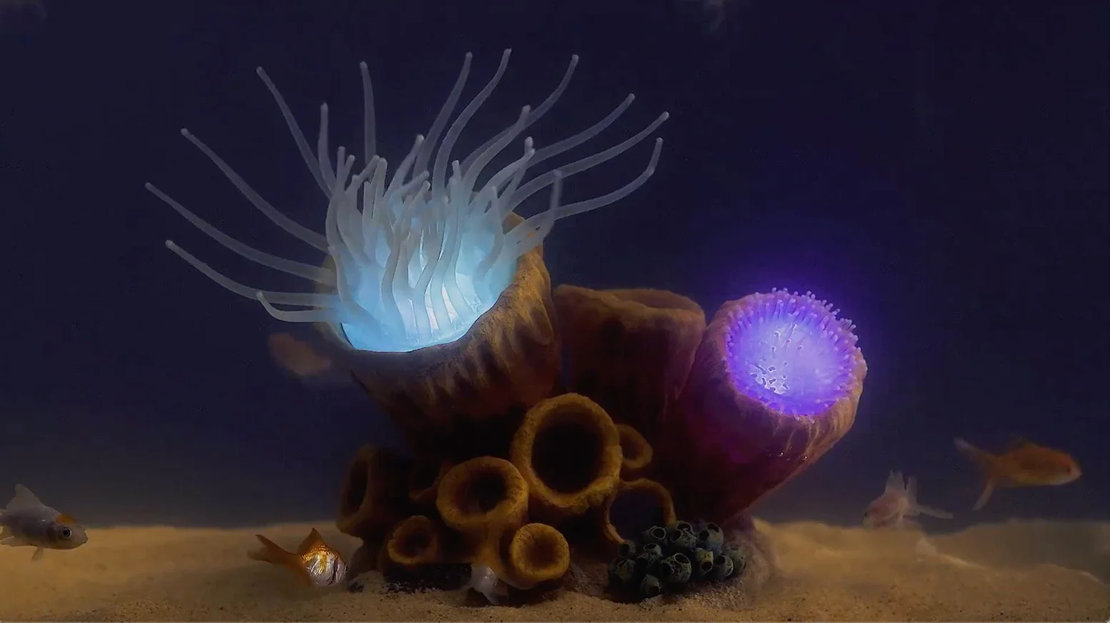 Home Screen Shot_.jpg