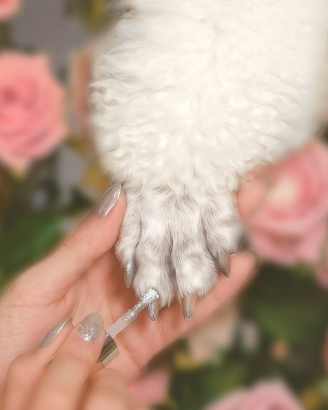 Join us on Saturday, 5/2 from 10 AM&ndash;2 PM for the Grand Opening of The Salon! We&rsquo;ve been quietly settling in and are so excited for our official reveal with the community! 

Stop by to enjoy snacks and drinks for both you and your furry co