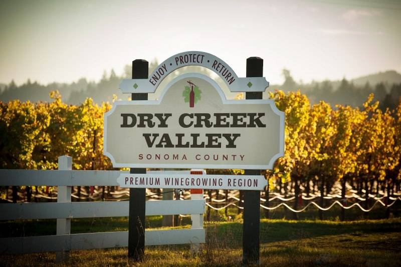 Mid-Winter Dry Creek Valley Bike Ride
