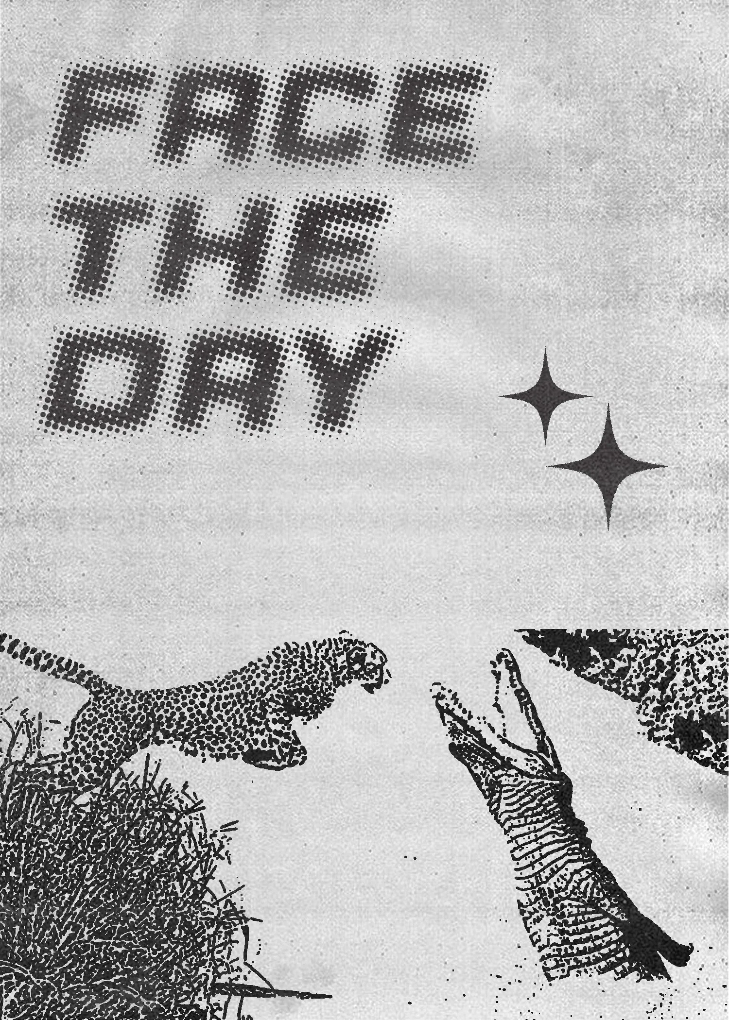 face the day.jpg