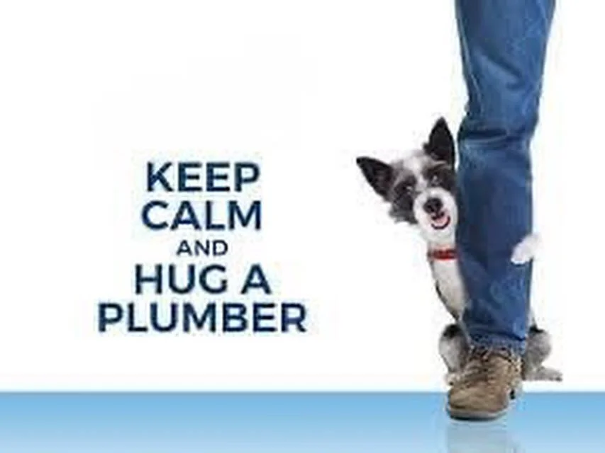 Happy National Hug a Plumber Day! 🔧🧑&zwj;🔧👨&zwj;🔧

🚰🔥🪚
Licensed and Insured
Contact us via text or call
518.545.7051
EMDplumbing.com

#supportlocal #licensedplumber #womanownedbusiness #localplumber #localcarpenter #plumbing #heating #carpent