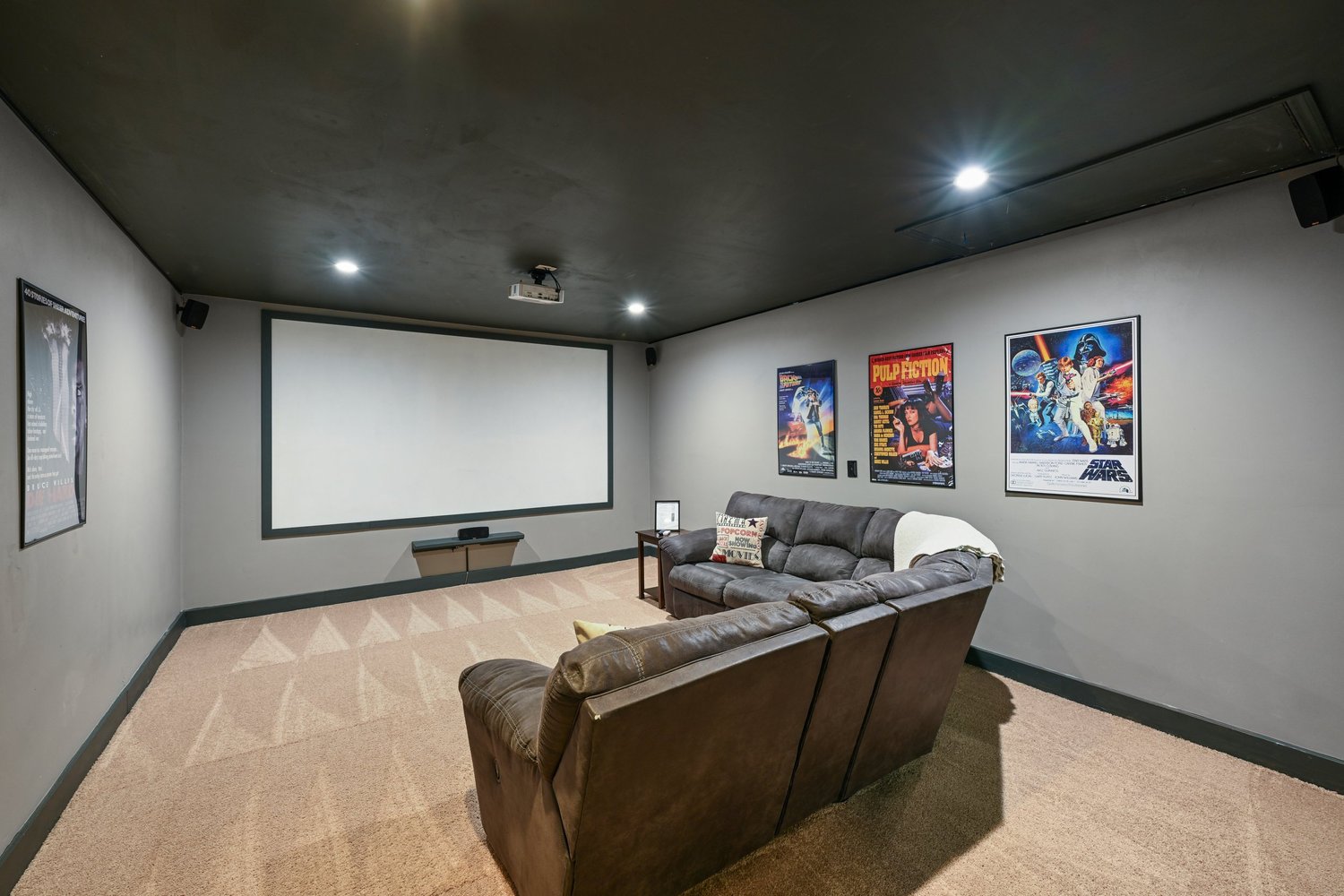 The Pickle Pad — Movie Theater Room