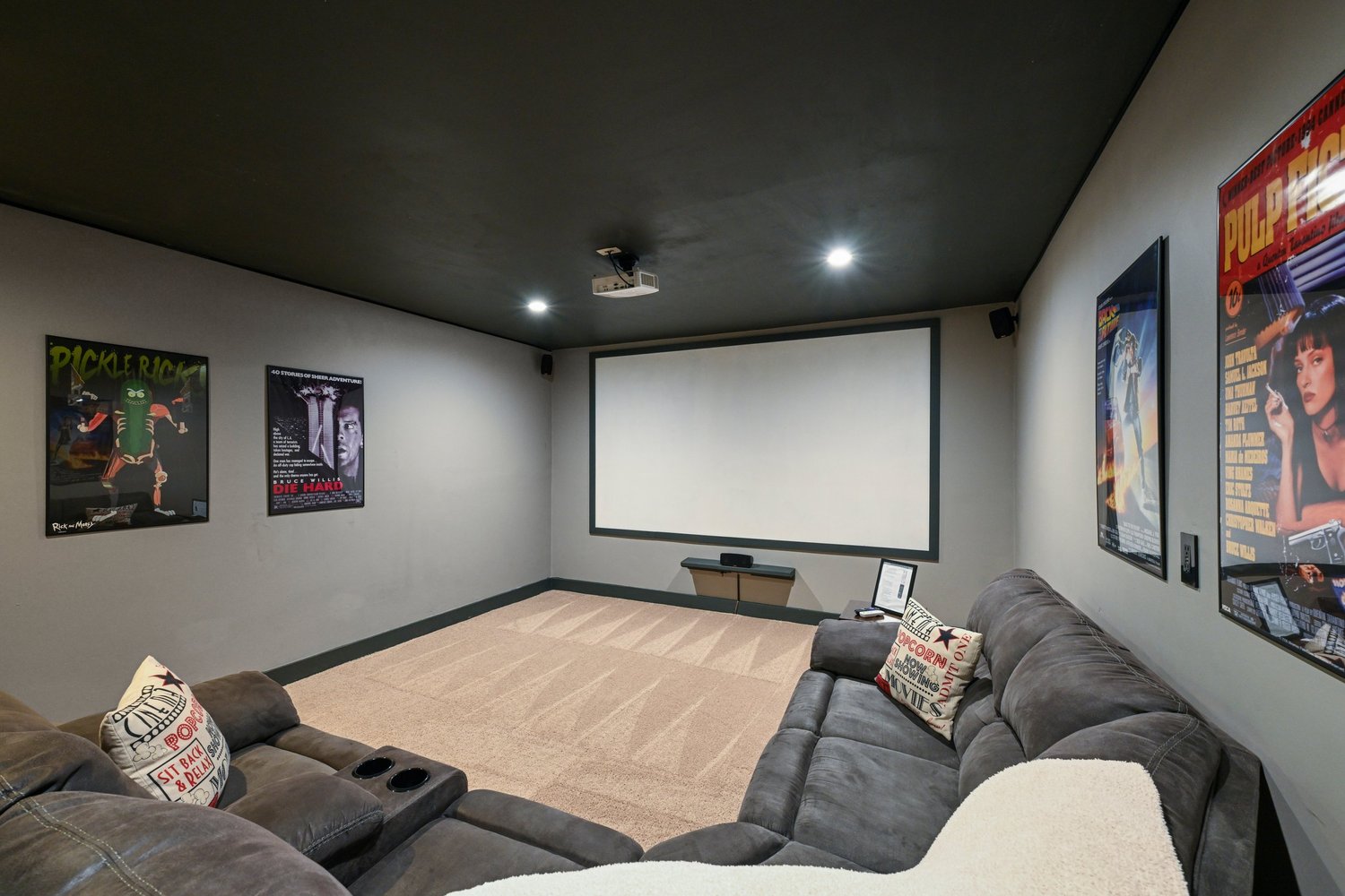 The Pickle Pad — Movie Theater Room