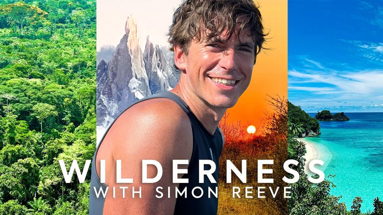 Television — SIMON REEVE