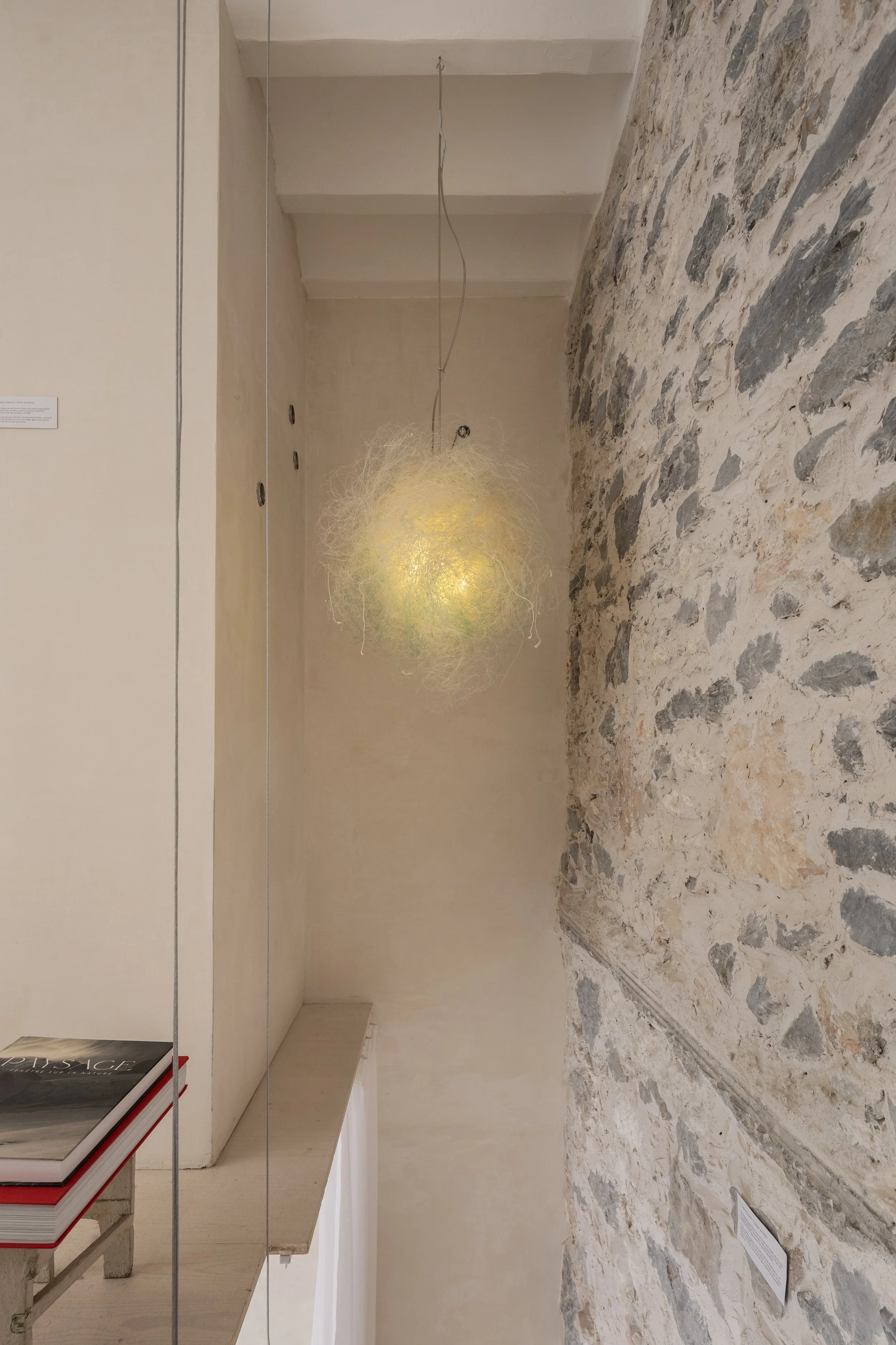 13 Anthropocene Apt JoseManuelFerrao_2025_01 (10).jpg