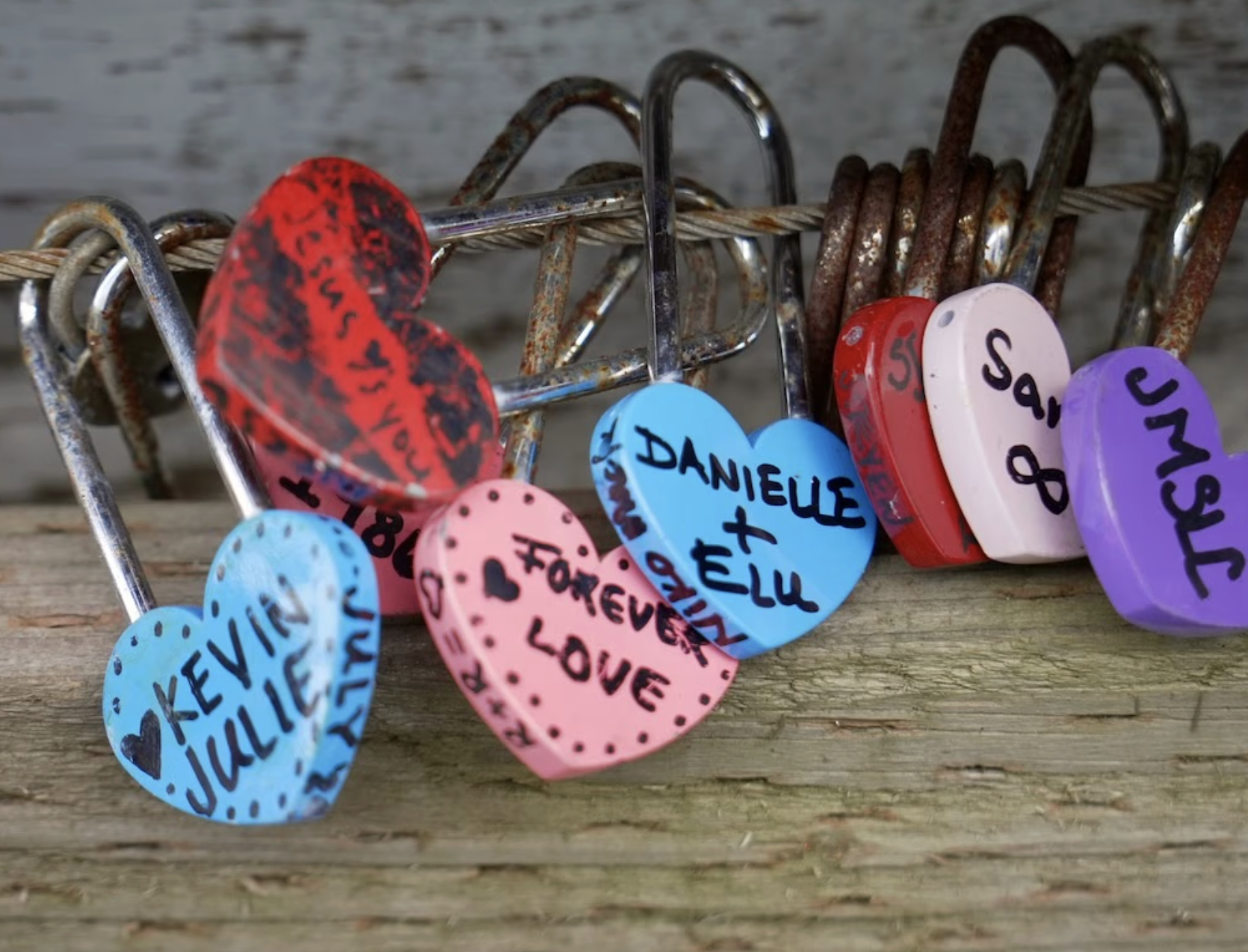 Screenshot 2026-02-19 at 2.37.33 PM.png